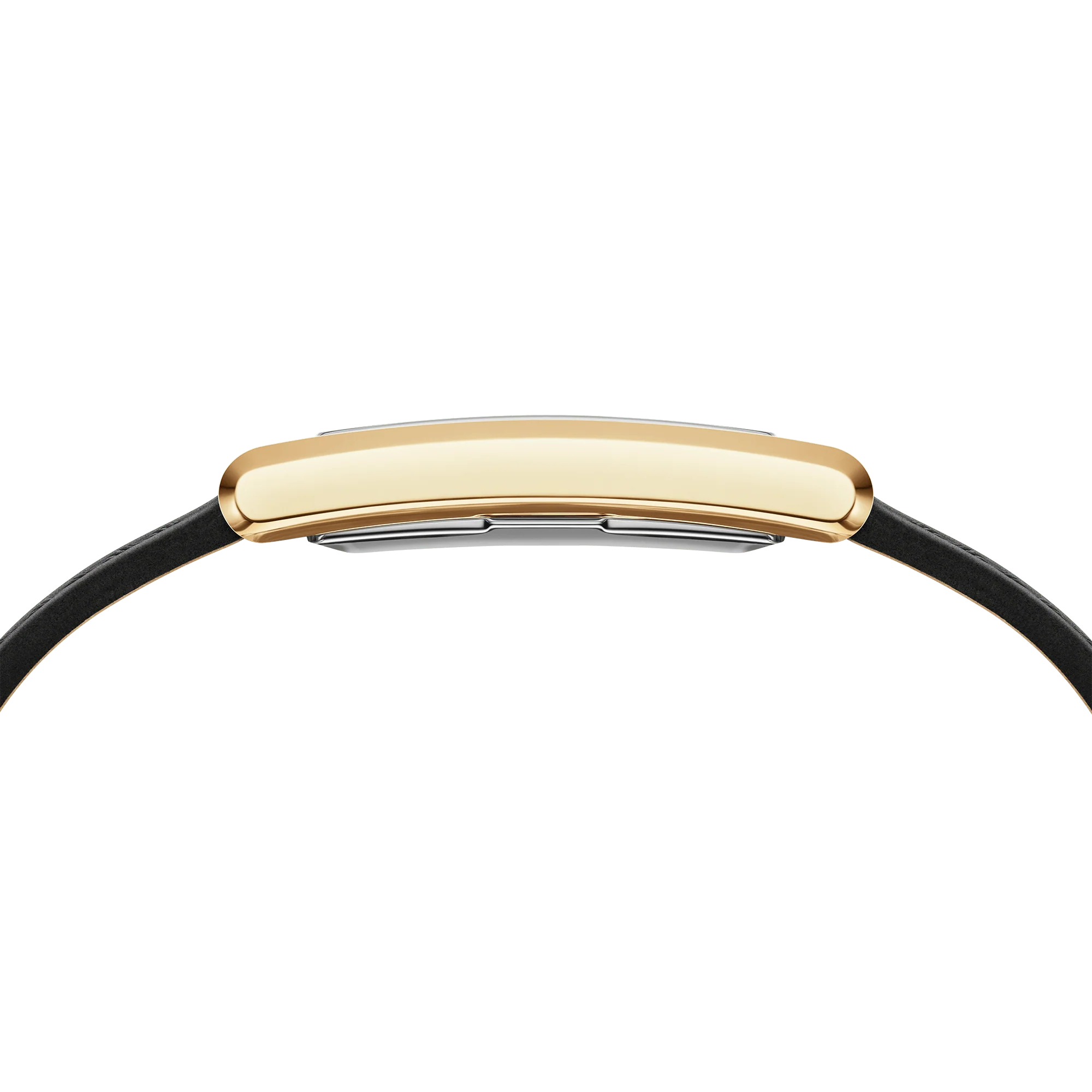 Bound Black Crocodile Gold - Image 2