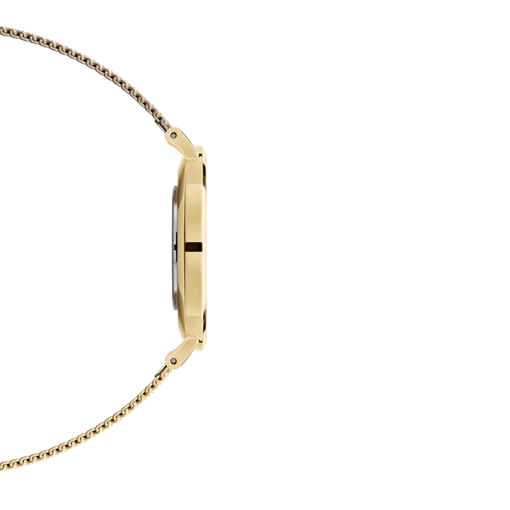 Petite Evergold - Image 4